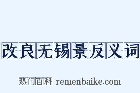 改良无锡景反义词是什么意思的图片